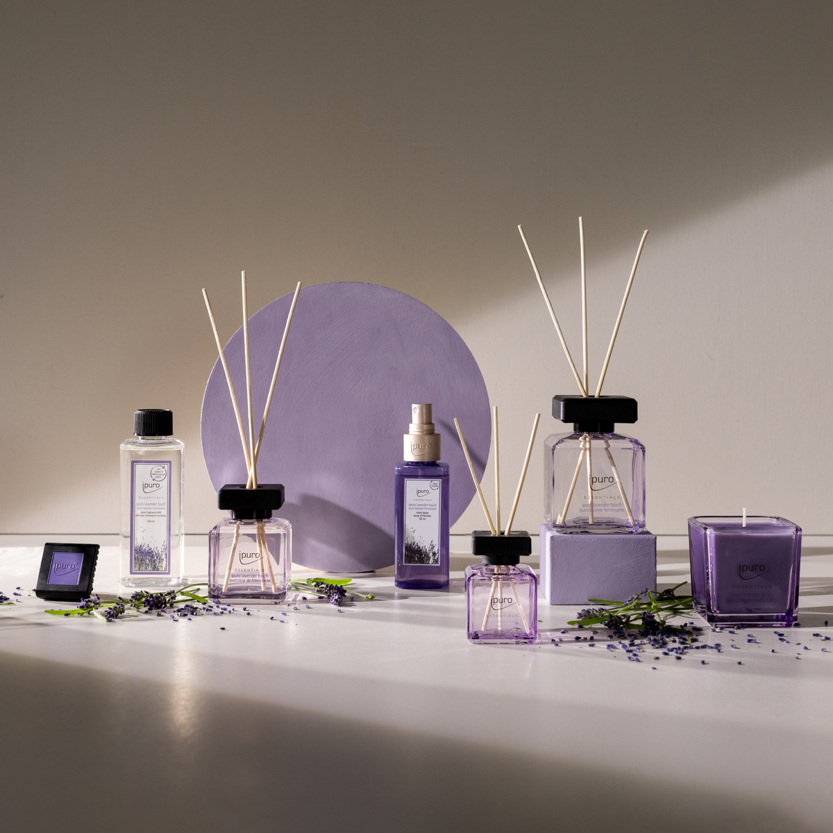 Eine Duftkerze ipuro lavender touch von ipuro wird mit Lavendelzweigen und verstreuten lila Blütenblättern in sanftem Naturlicht arrangiert.