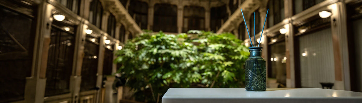 Ein grüner Glasdiffusor mit Schilfrohrstäbchen steht auf einer weißen Fläche in einem Innenraum, mit unscharfen Pflanzen und verschnörkelter Architektur im Hintergrund, beleuchtet von warmem Licht.