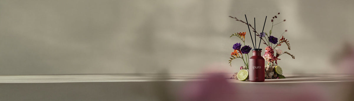 Ein brauner Glasduftdiffusor mit schwarzem Schilfrohr und der Aufschrift ípuro steht auf einer strukturierten Holzoberfläche, mit einem sanft beleuchteten Fenster im Hintergrund.
