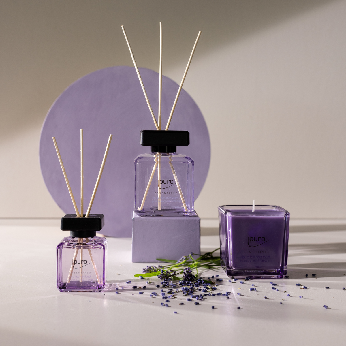 Drei lilafarbene ipuro-Duftzerstäuber und eine ipuro Duftkerze lavender touch sind mit Lavendelzweigen auf einer hellen Fläche arrangiert, die vor einem runden Lavendel-Hintergrund eine elegante, beruhigende Atmosphäre schafft.