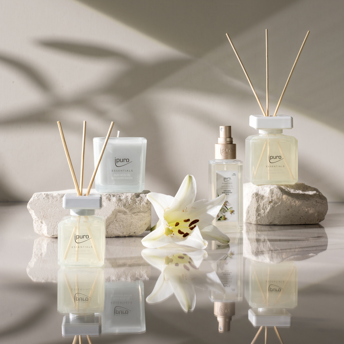 Zwei ipuro ESSENTIALS white lily Diffusoren, eine Kerze und das ipuro white lily Raumspray werden auf weißen Steinplatten mit einer weißen Lilie präsentiert. Sanfte Schatten und reflektiertes Licht bringen den blumigen Duft zum Ausdruck und schaffen eine elegante, beruhigende Stimmung.