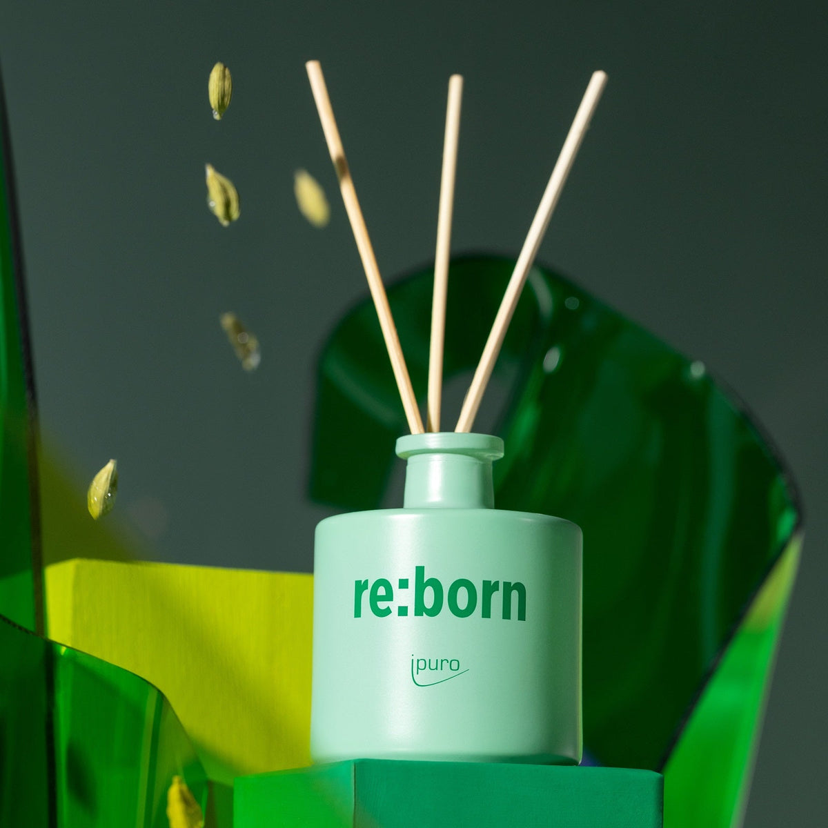 Ein mintgrüner ipuro Raumduft & Duftkerze re:born Michi Bundle Diffusor sitzt inmitten grüner skulpturaler Elemente, mit upgecycelten Kardamomschoten darüber und drei hellen Holzschilfrohren, die diesen grausamkeitsfreien Duft von ipuro präsentieren.